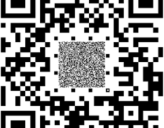 Copy Detection Pattern (CDP) into QR Code