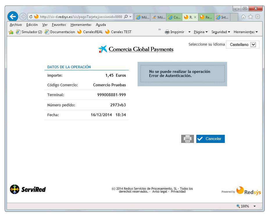 Payment Credit Card 2