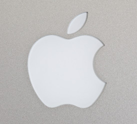 Apple Go to the Apple logo registration on the e search database